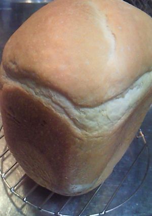 毎日の食パン-レシピのメイン写真