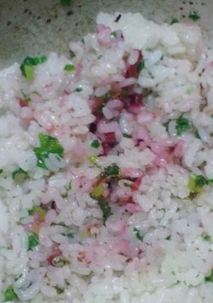 大根菜と梅干のまぜごはん-レシピのメイン写真