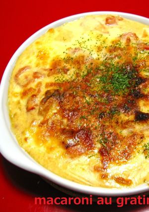 マカロニグラタン-レシピのメイン写真
