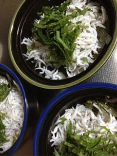 和風釜揚げしらす丼-レシピのメイン写真