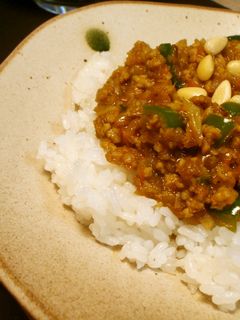 ごぼうでヘルシー☆ひき肉カレー-レシピのメイン写真