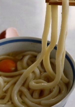 ビニール袋で超簡単・手打ちうどん-レシピのメイン写真