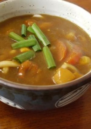 残ったシーフードカレーdeカレーうどん-レシピのメイン写真