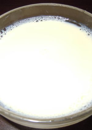豆乳メープルゼリー-レシピのメイン写真