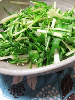 水菜の浅漬け-レシピのメイン写真