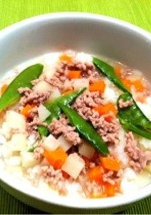 犬ごはん＊肉じゃが-レシピのメイン写真