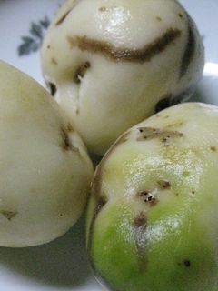つるんと気持ちいいじゃがいもの皮の剥き方-レシピのメイン写真