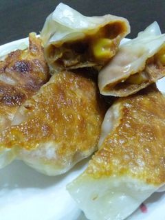★ピザ餃子★-レシピのメイン写真
