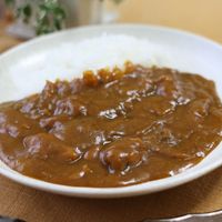 基本からアレンジまで！思わずつくりたくなる「2日目カレー」の