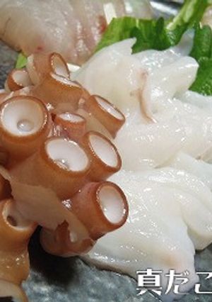 ！活だこで！マダコのお刺身-レシピのメイン写真