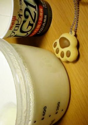 ヨーグルト増殖計画（豆乳編）-レシピのメイン写真