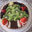 クリスマス★キウイでツリーケーキ