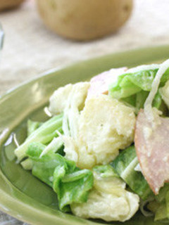 たっぷりキャベツのポテトサラダ-レシピのメイン写真