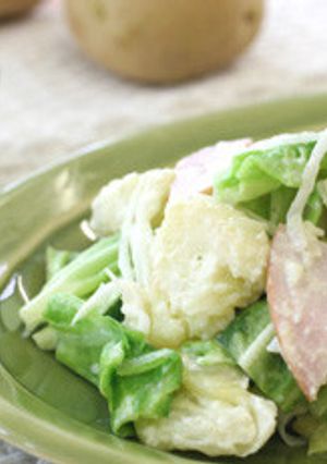 たっぷりキャベツのポテトサラダ-レシピのメイン写真