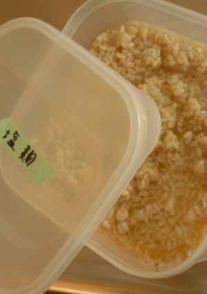 私の塩麹～(＾＾＊)-レシピのメイン写真