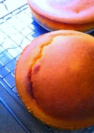 裏ごしカボチャのチーズケーキ♡-レシピのメイン写真