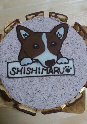 チョコレートのケーキ-レシピのメイン写真