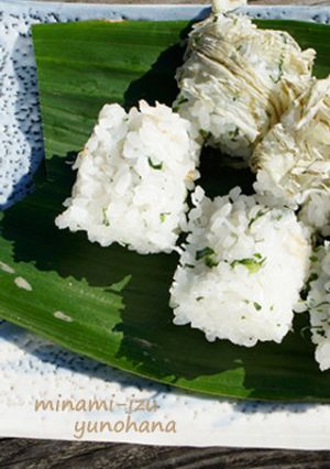 葉っぱも美味しく！じゃこ入り菜めし-レシピのメイン写真