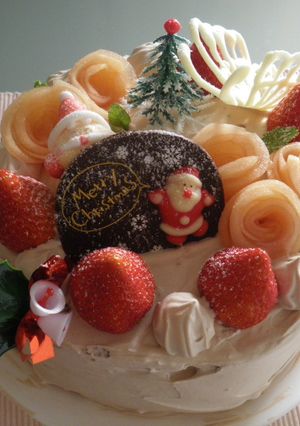 2011年　ちょこっとクリスマスケーキ-レシピのメイン写真