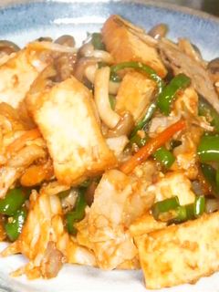 厚揚げと豚肉の炒め物-レシピのメイン写真