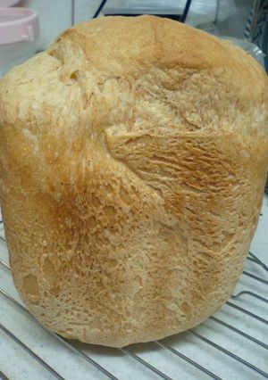 国産小麦でフランスパン　HBにおまかせ-レシピのメイン写真