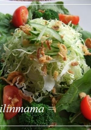 グリーングリーンサラダ☆胡麻ドレッシング-レシピのメイン写真
