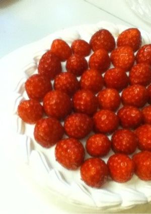 絶対失敗しないスポンジケーキのレシピ-レシピのメイン写真