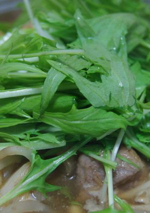 豚肉のカレー鍋-レシピのメイン写真