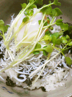 【1分で出来ちゃう!?】旨ウマしらす丼♪-レシピのメイン写真
