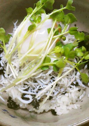 【1分で出来ちゃう!?】旨ウマしらす丼♪-レシピのメイン写真