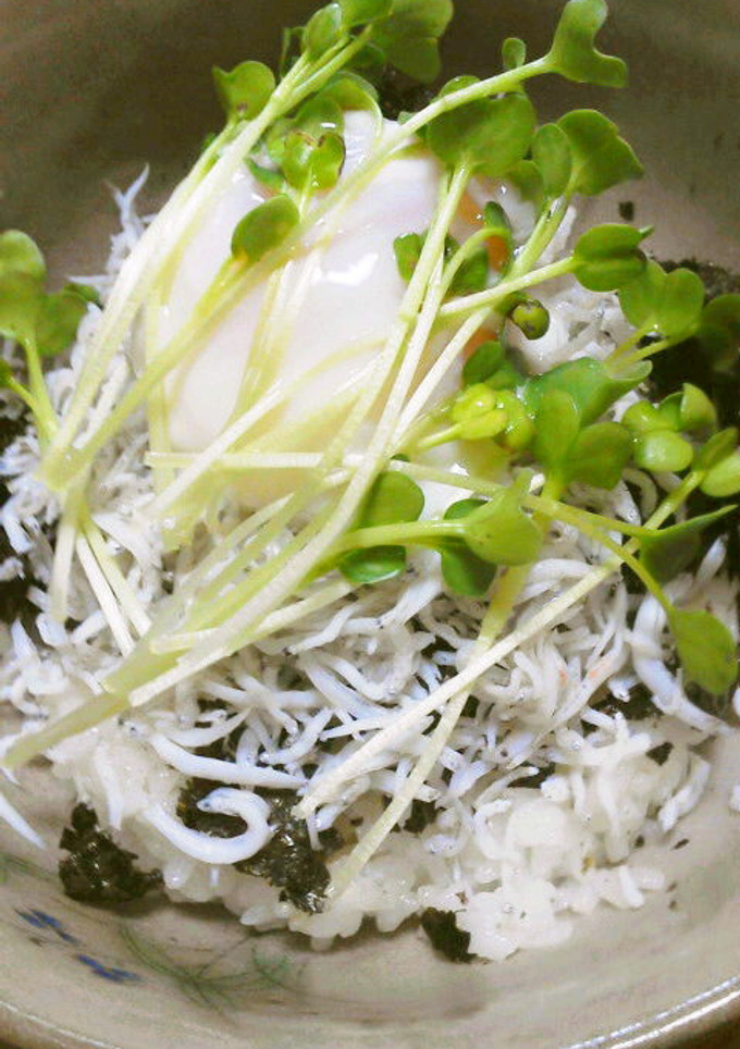 【1分で出来ちゃう！?】旨ウマしらす丼♪-レシピのメイン写真