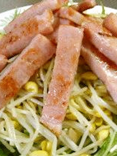 水菜と豆もやしのサラダ-レシピのメイン写真