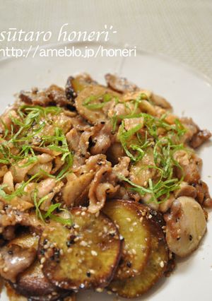 根菜と豚肉のゴマだれ揚げ-レシピのメイン写真