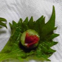 基本からアレンジまで！思わずつくりたくなる「梅きゅう 簡単」の