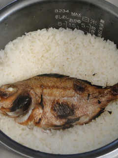 味付けは塩だけの鯛飯-レシピのメイン写真