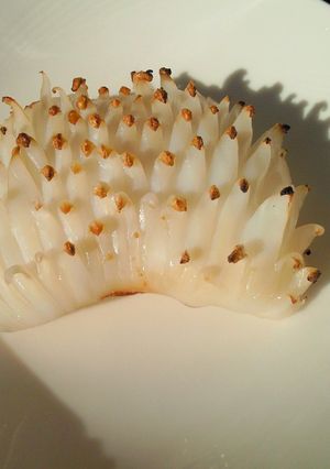 おせち★いかの松かさ焼き-レシピのメイン写真