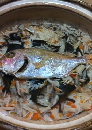 残った祝鯛でドカン！と土鍋鯛飯-レシピのメイン写真
