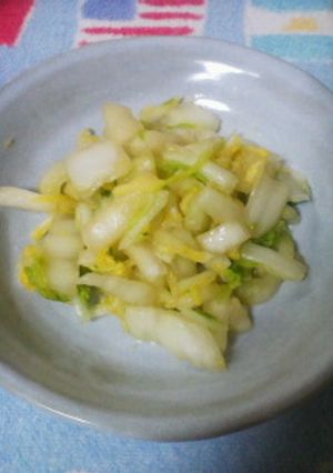 白菜の即席漬け-レシピのメイン写真