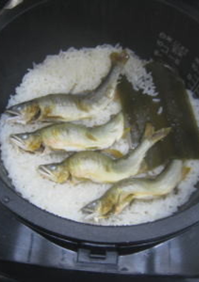 鮎の炊き込みご飯（鮎飯）-レシピのメイン写真