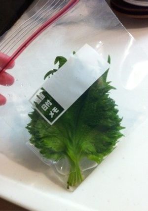青じその保存方法その2-レシピのメイン写真