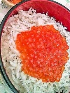 しらすといくら しらすといくら しらすといくら 生シラス しらす 瀬戸内海産 お刺身