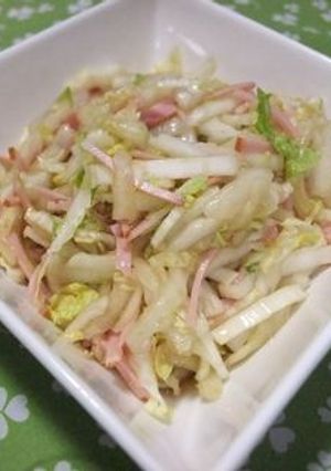 白菜のシャキシャキサラダ-レシピのメイン写真