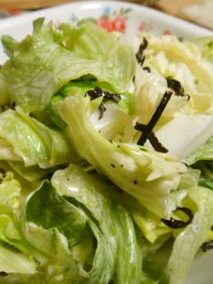 レタスと白菜のマヨサラダ-レシピのメイン写真