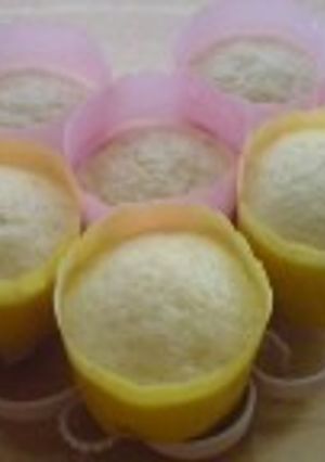 りんごとヨーグルトの蒸しケーキ-レシピのメイン写真
