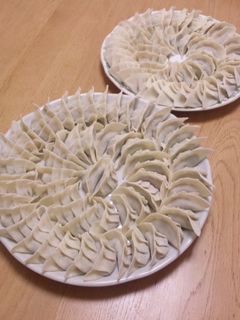 うちの餃子-レシピのメイン写真