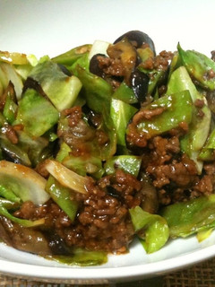 ナスとキャベツと豚肉のオイスター炒め-レシピのメイン写真