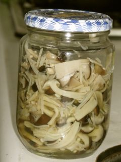 キノコの塩漬け(保存食)-レシピのメイン写真