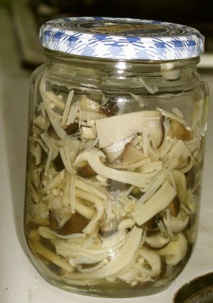 キノコの塩漬け(保存食)-レシピのメイン写真