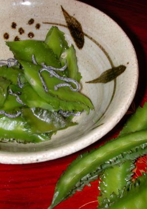 うりずん塩昆布-レシピのメイン写真