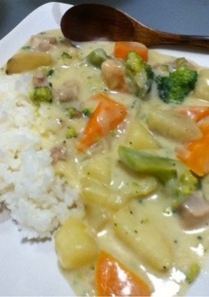 手作りシチュー★-レシピのメイン写真